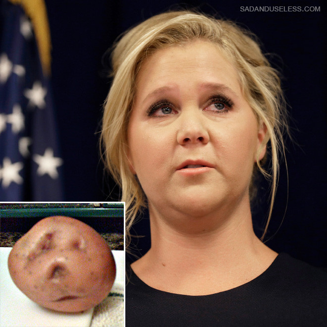 Potato Or Amy Schumer
 Potato or Amy Schumer Can You Tell the Difference