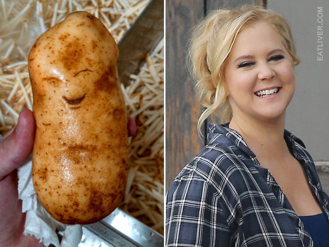 Potato Or Amy Schumer
 Amy Schumer or Potato Can You Tell the Difference