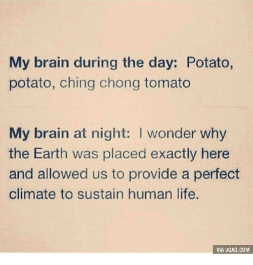 Potato Potato Ching Chong Tomato
 25 Best Memes About 9gag Brains and 🤖