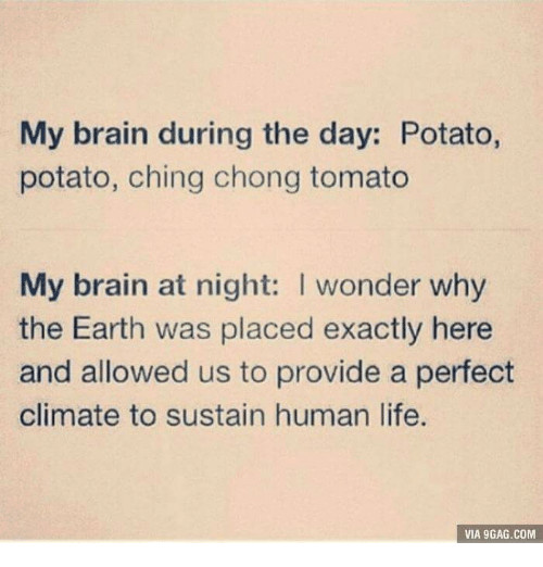 Potato Potato Ching Chong Tomato
 25 Best Memes About 9gag Brains and ?