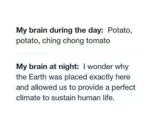 Potato Potato Ching Chong Tomato
 My Brain During the Day Potato Potato Ching Chong Tomato