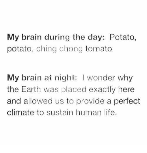 Potato Potato Ching Chong Tomato
 25 Best Memes About Potato Potato Ching Chong Tomato