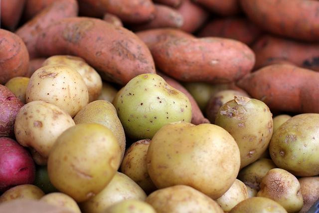 Potato Vs Sweet Potato
 Sweet Potato vs White Potato