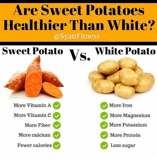 Potato Vs Sweet Potato
 sweet potato vs potato