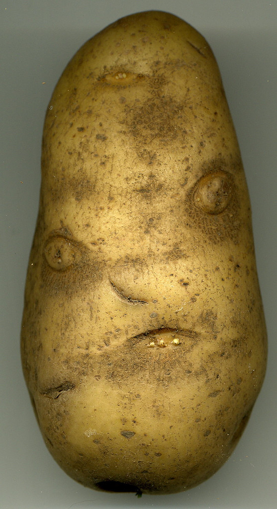 Potato With A Face
 Potato Face Reverse Search