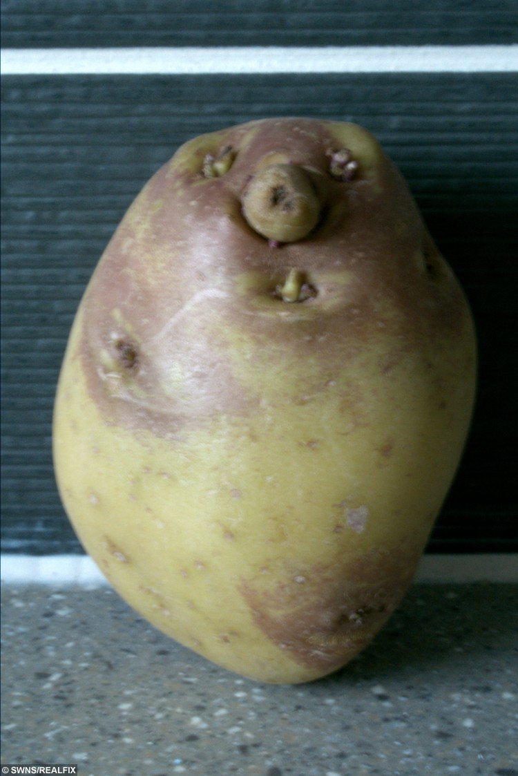 Potato With A Face
 SPUD U LIKE – shopper finds a face in a potato