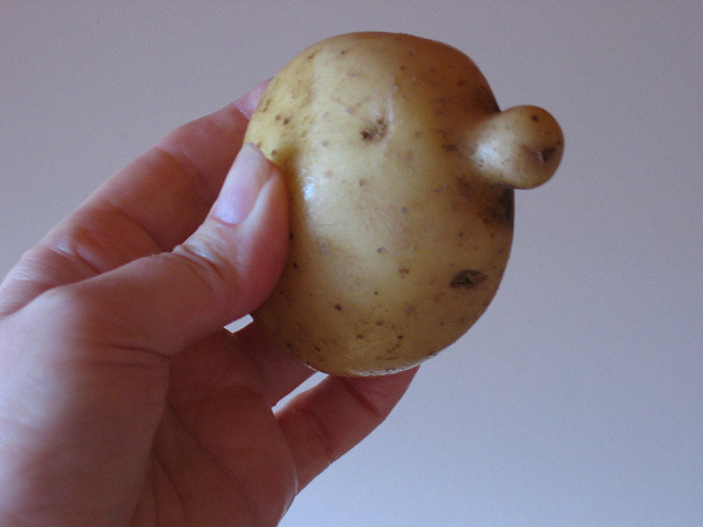 Potato With A Face
 Sad Potato Face