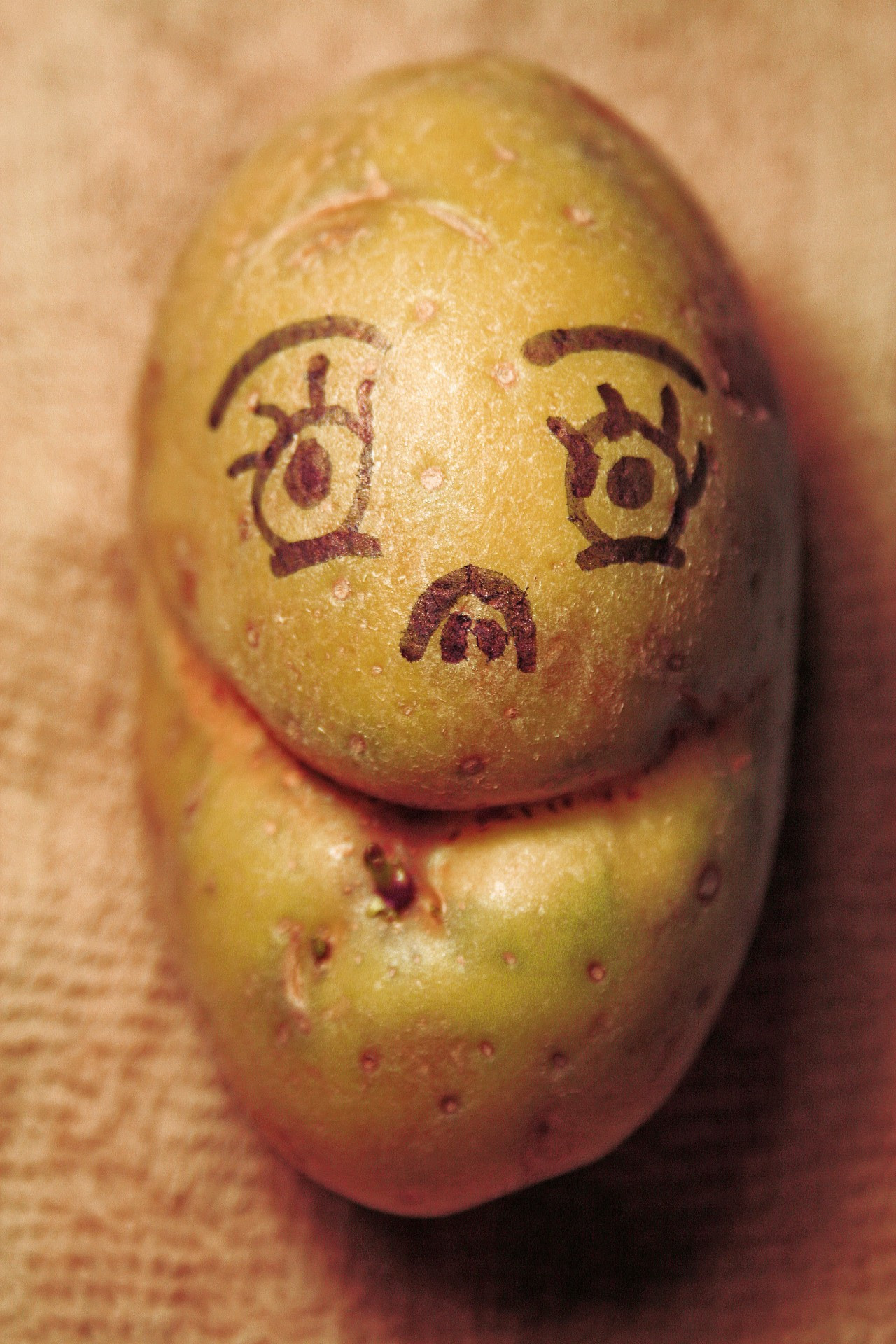 Potato With A Face
 Mr Potato Head