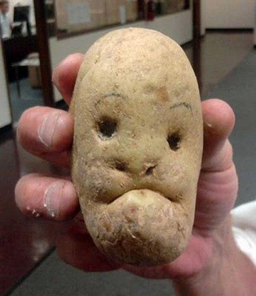 Potato With A Face
 WINEBOCON4 It happened PHOTOS ARE UP VIDEO TOO