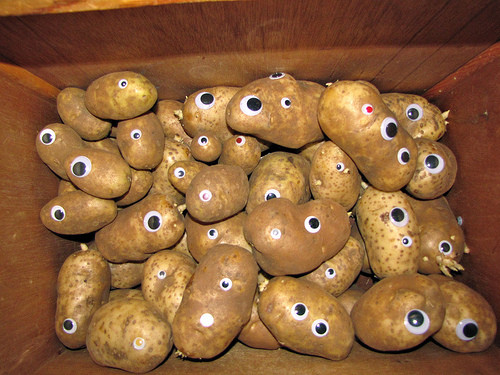 Potato With Eyes
 Potato eyes