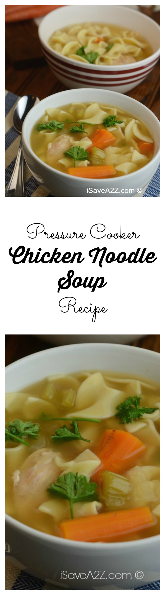 Pressure Cooker Chicken Noodle Soup
 Pressure Cooker Chicken Noodle Soup Recipe iSaveA2Z