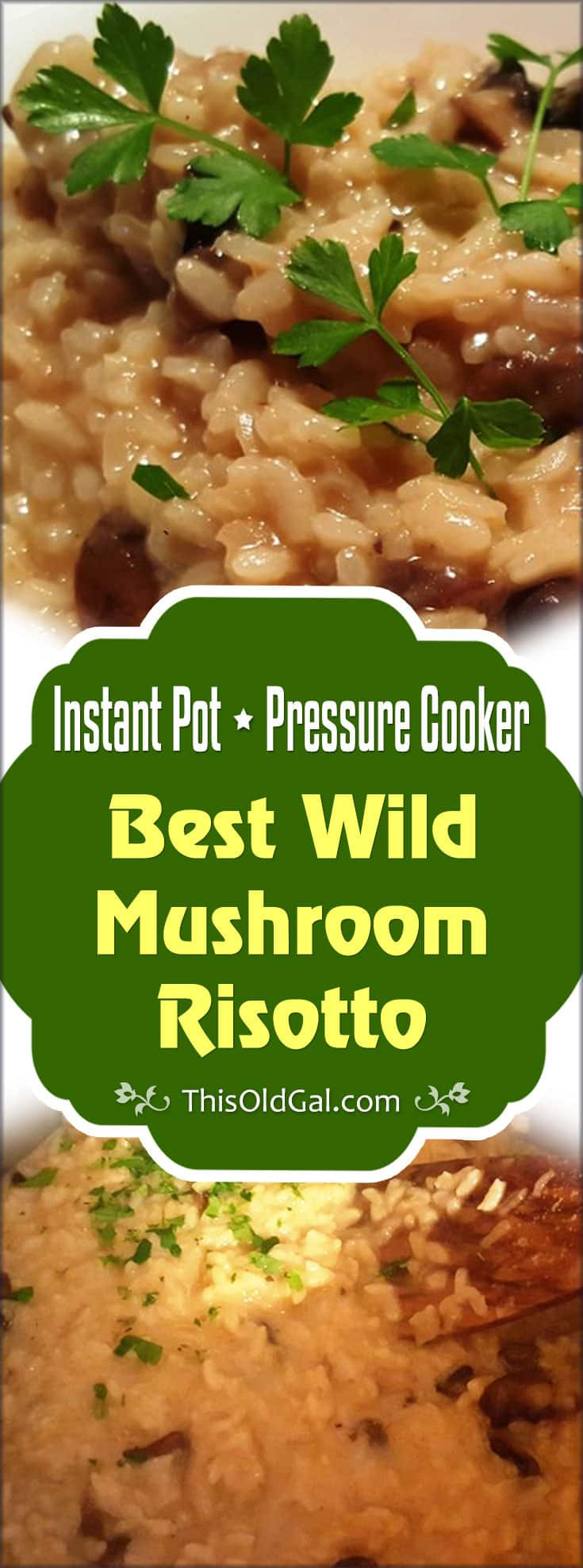 Pressure Cooker Mushroom Risotto
 Pressure Cooker Best Wild Mushroom Risotto