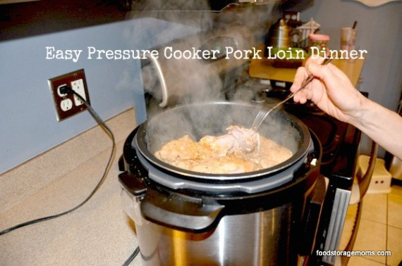 Pressure Cooker Pork Loin Recipes
 Pressure Cooker How To Cook Dinner In e Hour