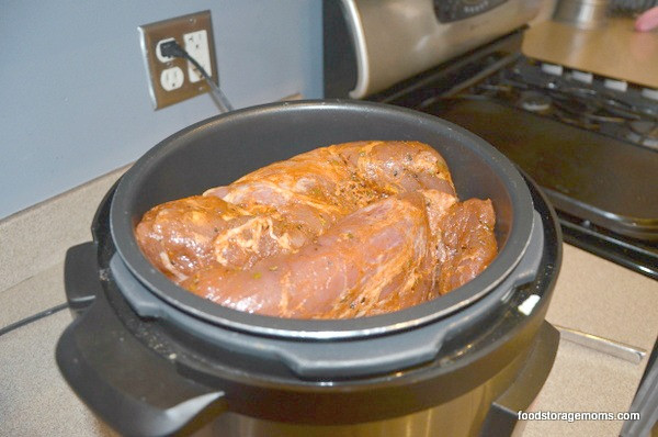Pressure Cooker Pork Loin Roast
 electric pressure cooker recipes pork roast