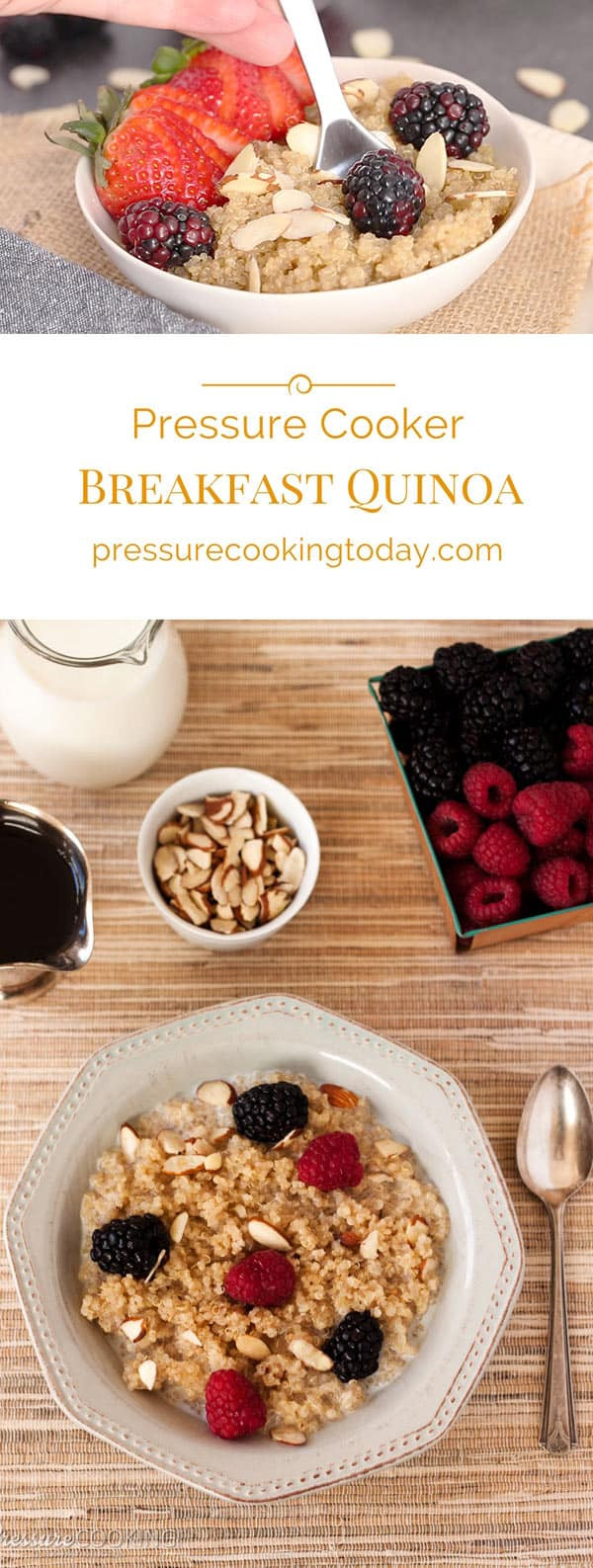 Pressure Cooker Quinoa
 Pressure Cooker Instant Pot Breakfast Quinoa