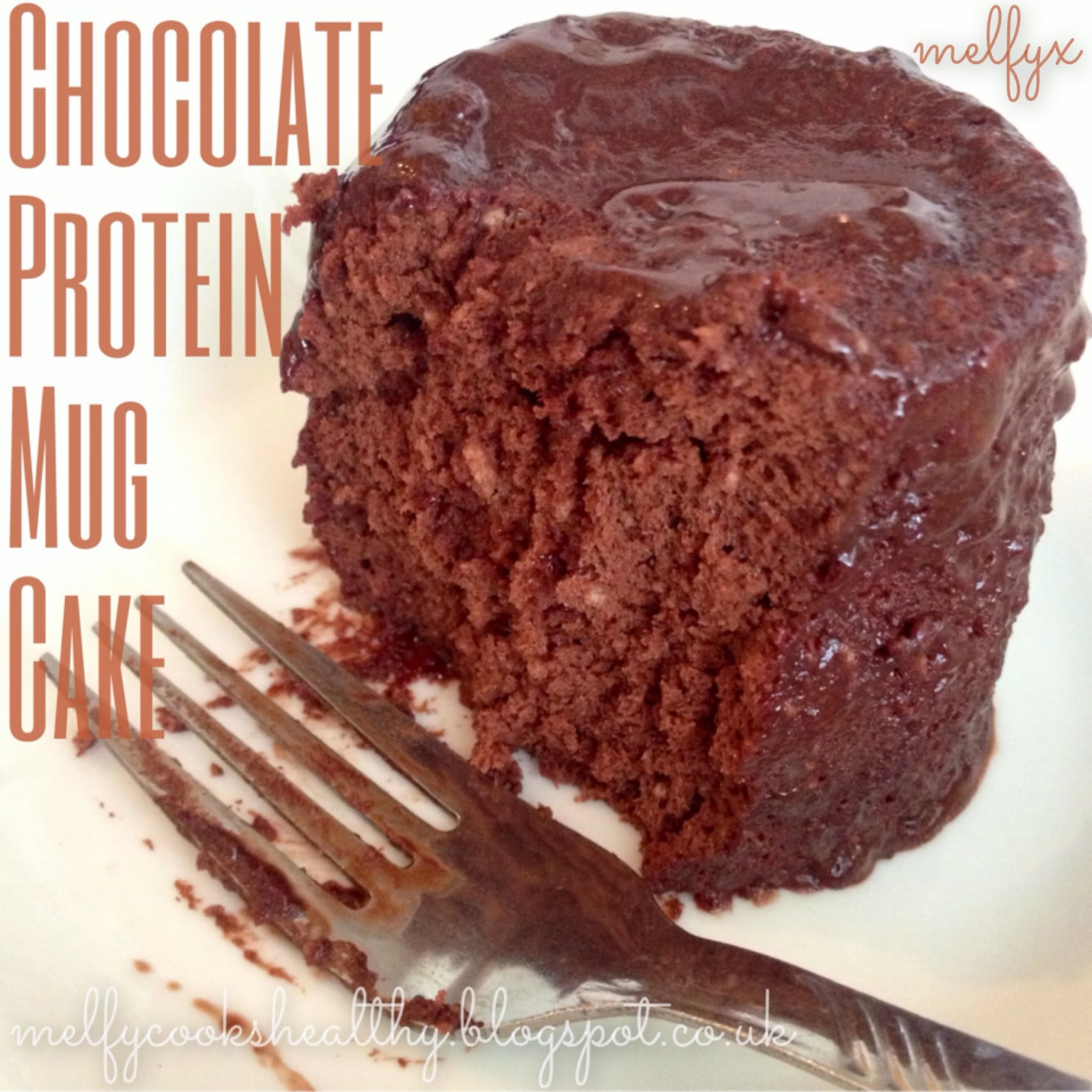 Protein Powder Mug Cake
 Melfy Cooks Healthy Low Carb Chocolate Protein Mug Cake