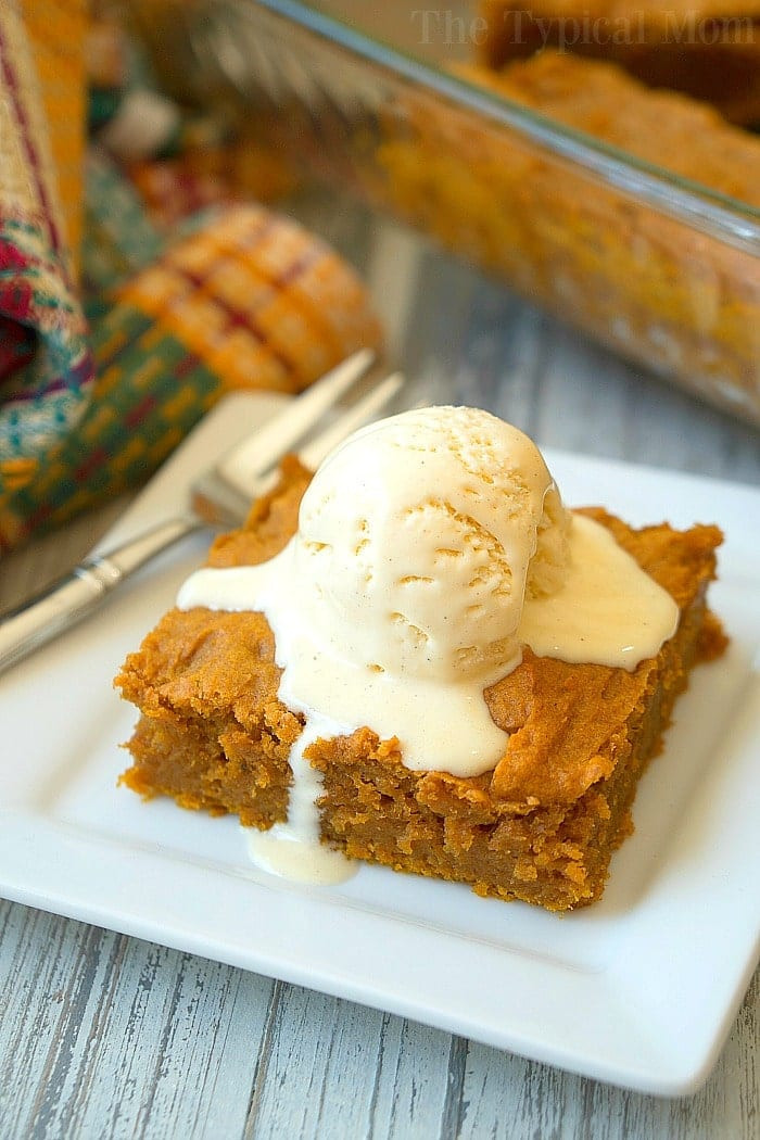 Pudding Cake Recipe
 Easy Pumpkin Pudding Cake Recipe · The Typical Mom