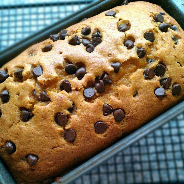 Pumpkin Bread With Chocolate Chips
 Pumpkin Chocolate Chip Bread JavaCupcake