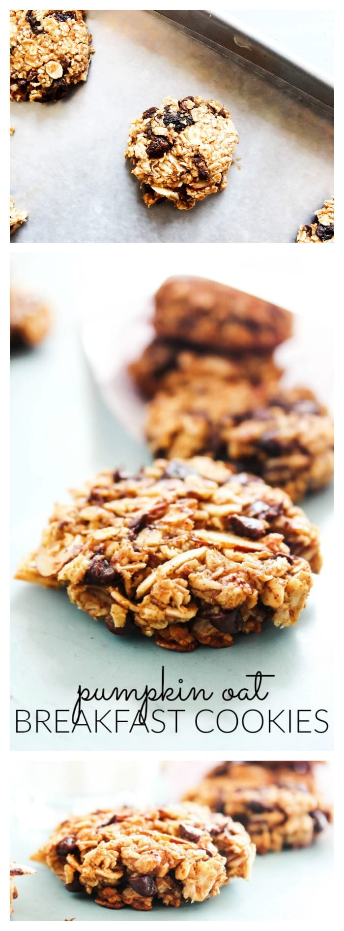 Pumpkin Breakfast Recipes
 Pumpkin Oat Breakfast Cookies A Dash of Sanity