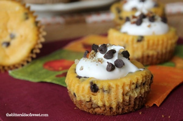 Pumpkin Cheese Cake Bites
 Chocolate Chip Pumpkin Cheesecake Bites theBitterSideofSweet