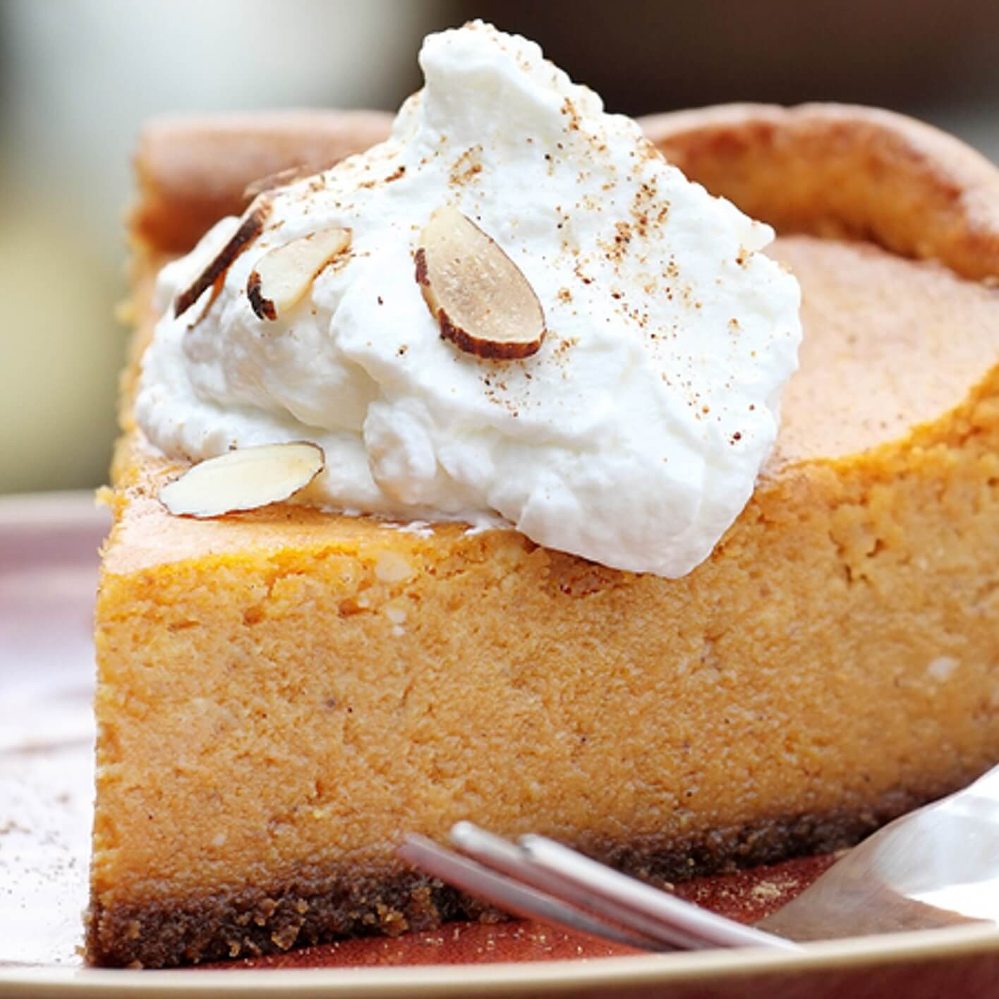 Pumpkin Cheesecake Recipe
 Pumpkin Pie Cheesecake Recipe Dr Axe