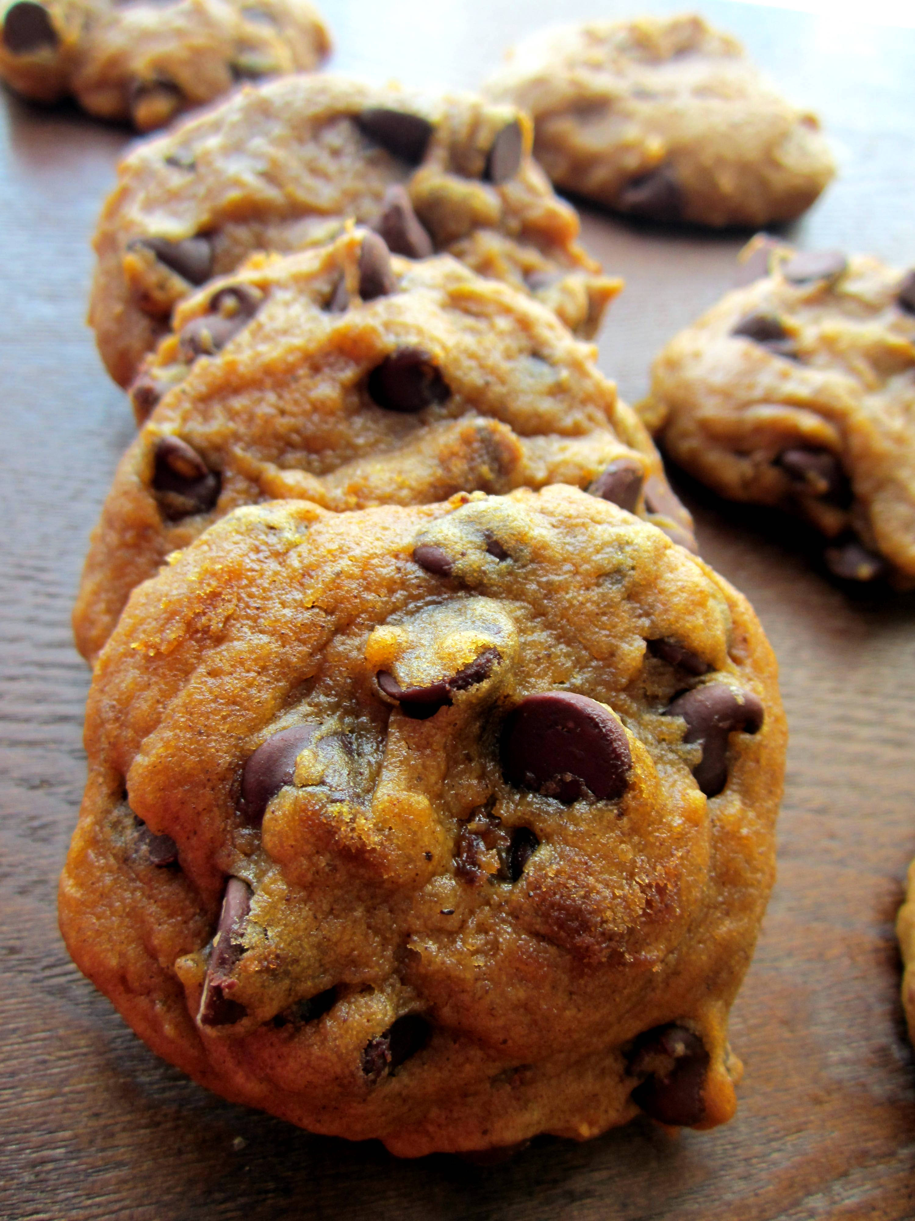 Pumpkin Cookies Recipe
 Pumpkin Chocolate Chip Cookies