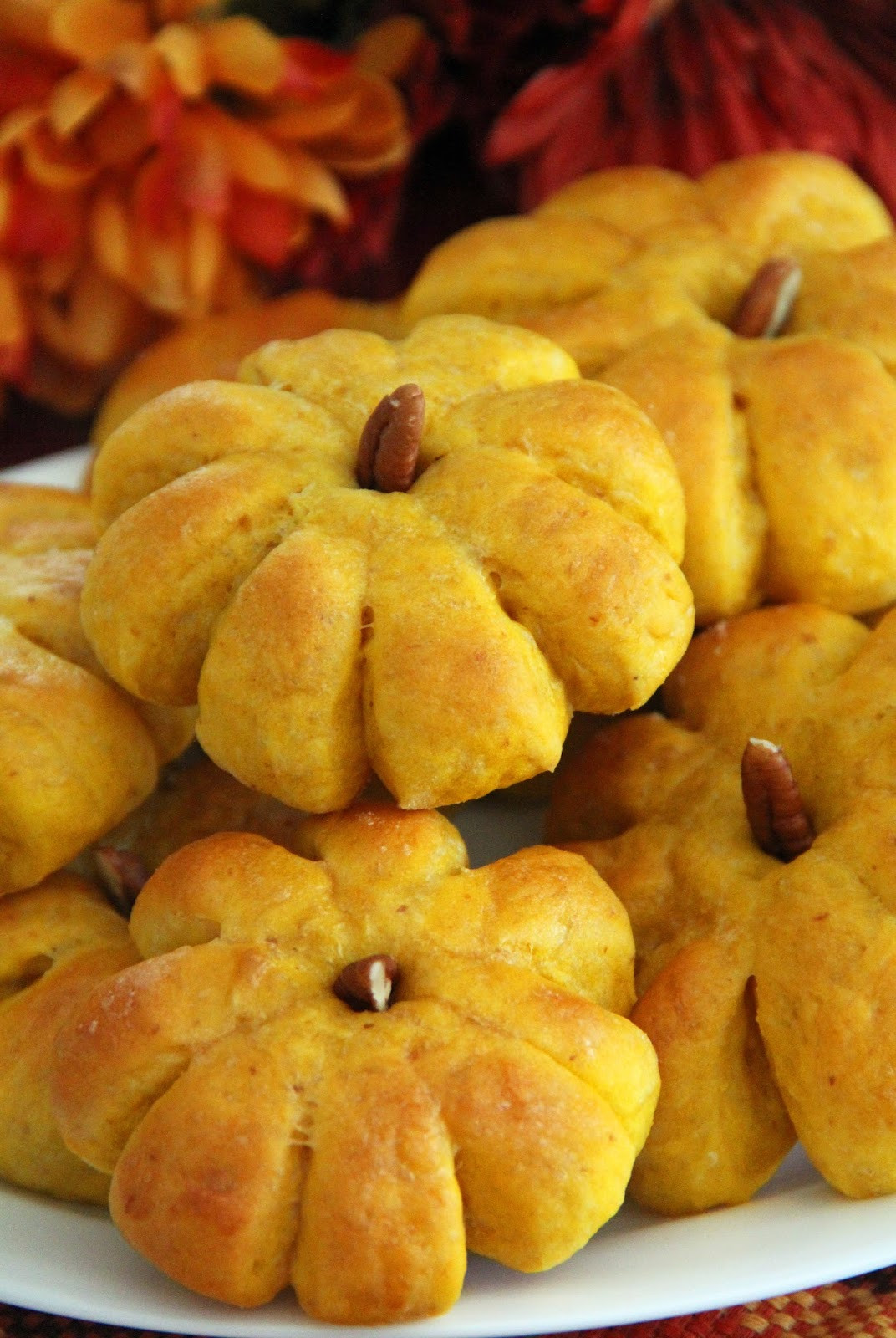 Pumpkin Dinner Recipe
 Jo and Sue Pumpkin Dinner Rolls