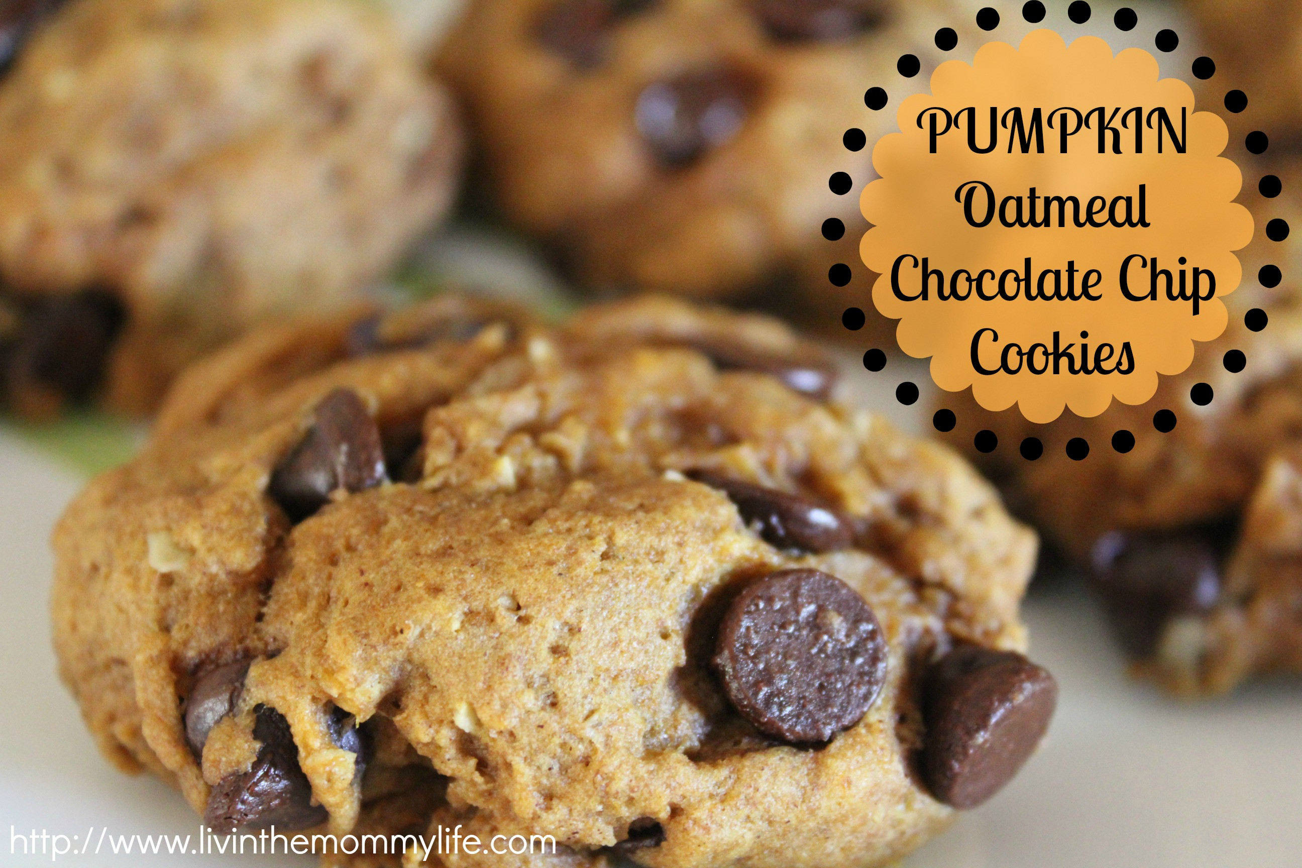 Pumpkin Oatmeal Chocolate Chip Cookies
 Oatmeal Chocolate Chip Cookies Recipes — Dishmaps