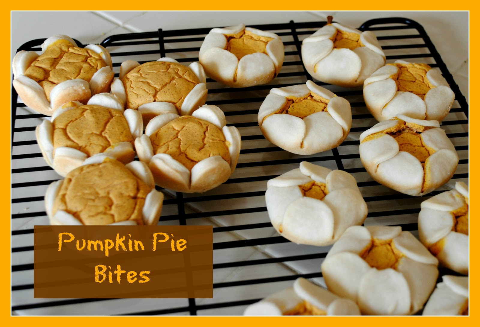 Pumpkin Pie Bite
 Delectably Home Pumpkin Pie Bites