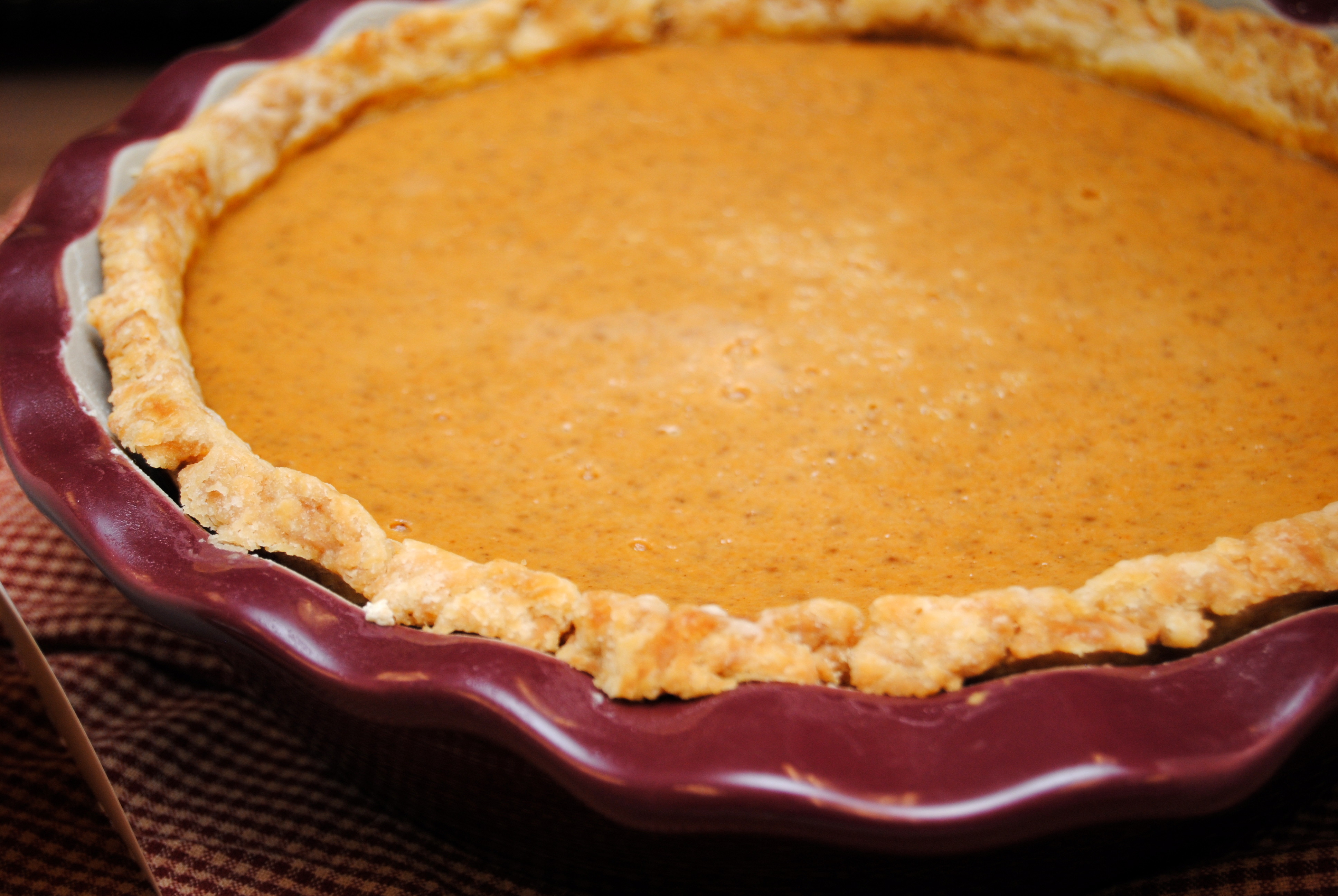 Pumpkin Pie Pumpkins
 Super Easy Pie Crust and Pumpkin Pie