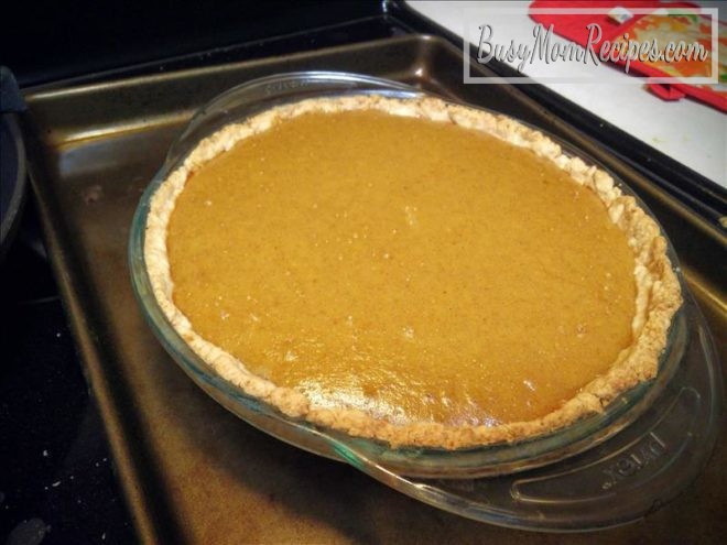 Pumpkin Pie Recipe With Milk
 Coconut Pumpkin Pie Dairy Free Busy Mom Recipes