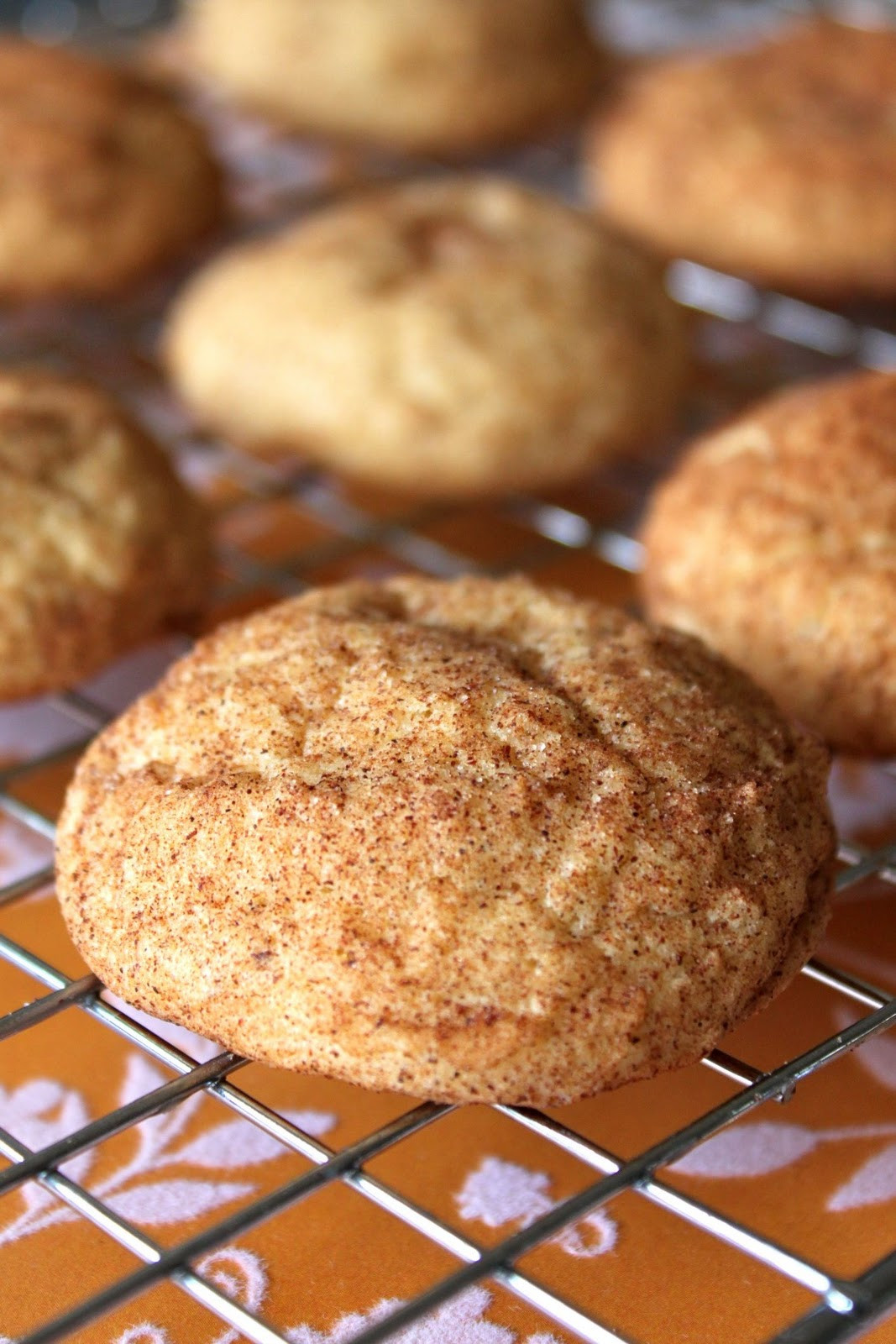 Pumpkin Snickerdoodle Cookies
 Baked Perfection Pumpkin Snickerdoodles and a Giveaway