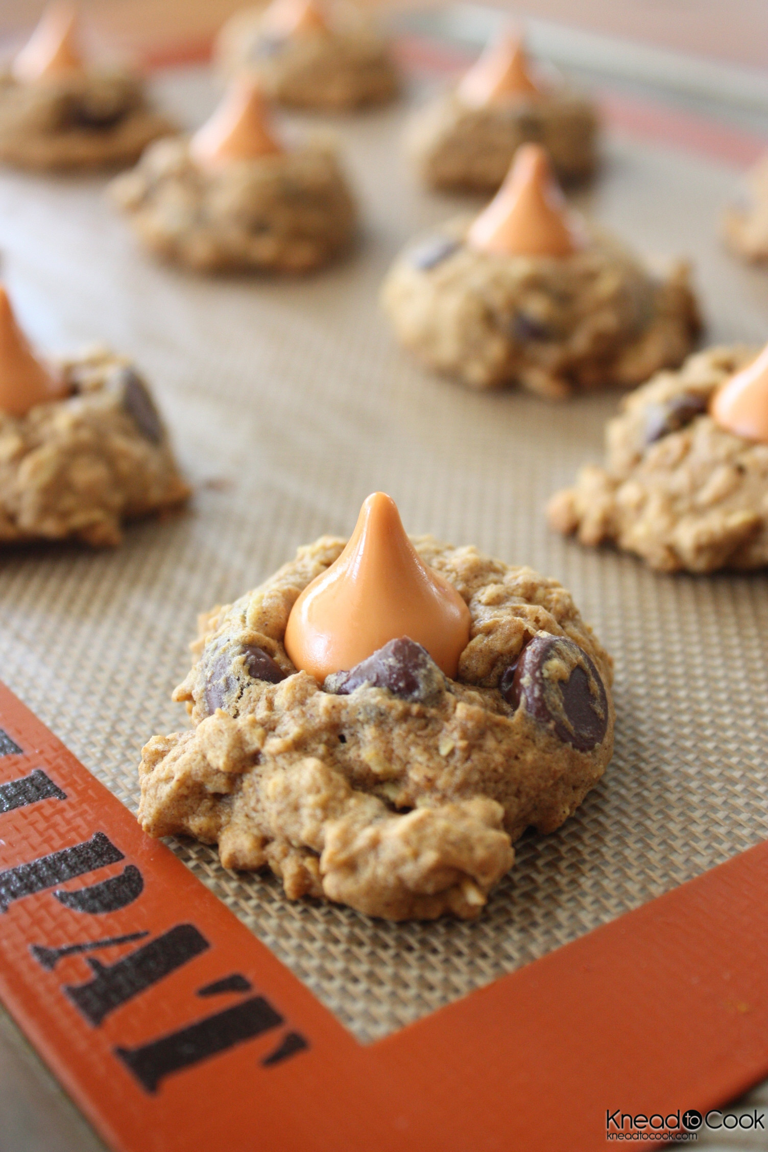 Pumpkin Spice Cookies
 Pumpkin Spice Oatmeal Cookies