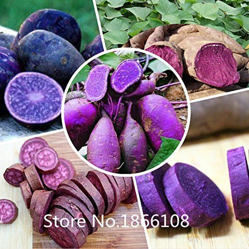 Purple Sweet Potato
 Amazon Fresh Purple Sweet Potatoes 2LBS