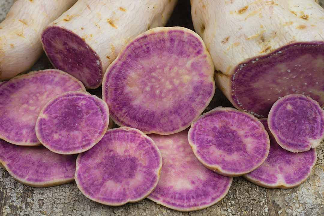 Purple Sweet Potato
 Reviewing the 2015 Whole Seed Catalog