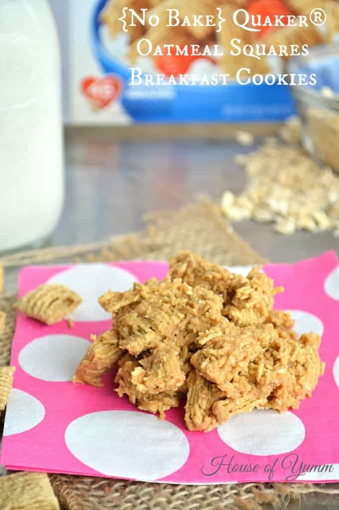 Quaker Oats Breakfast Recipes
 No Bake Quaker Oatmeal Squares Breakfast Cookies