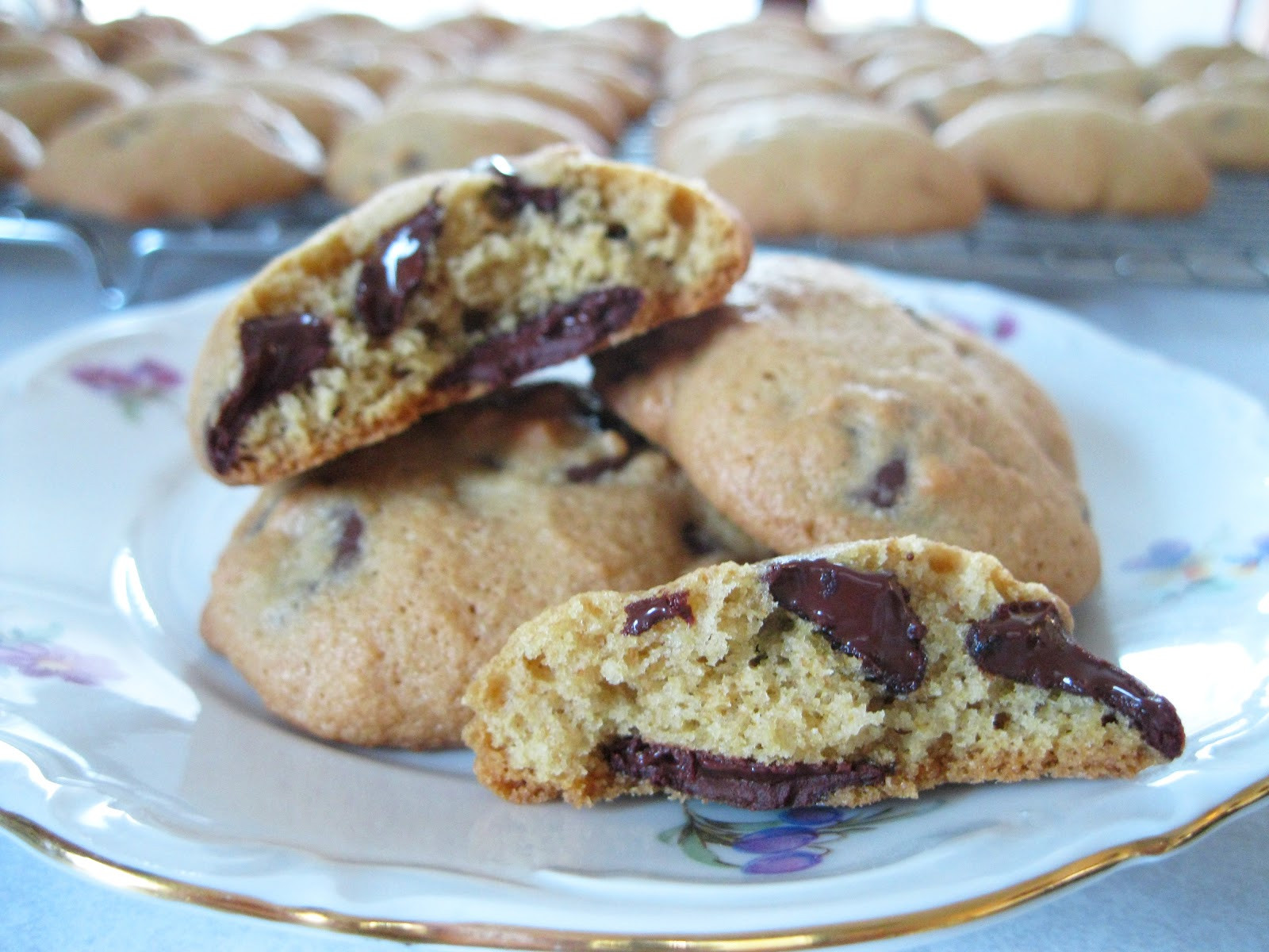 Quick Chocolate Chip Cookies
 Healthy You Quick& Easy Chocolate Chip Cookies