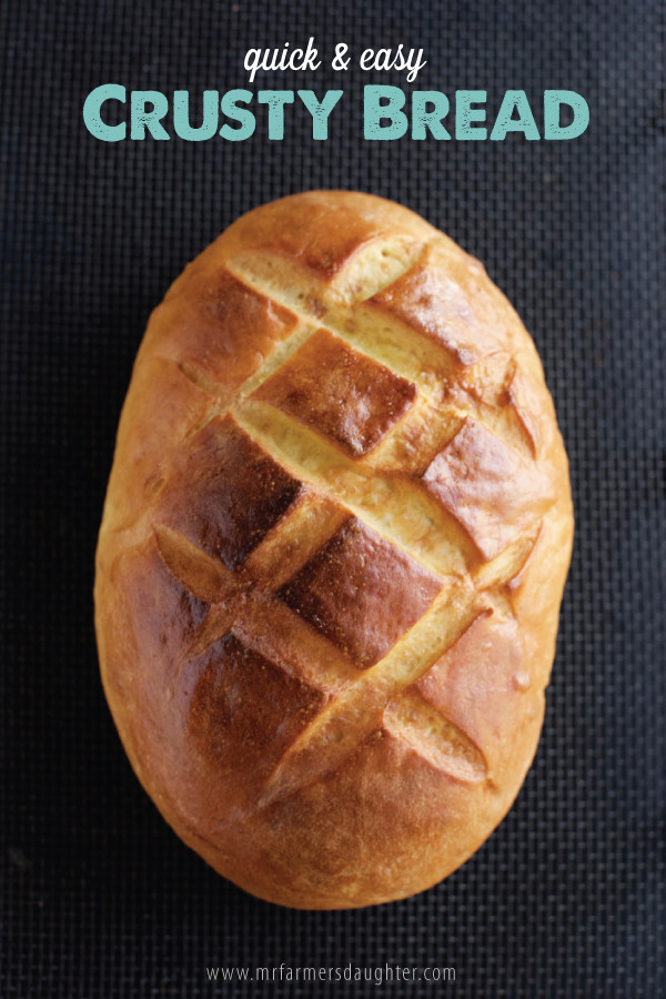 Quick Crusty Bread Recipe
 Quick Crusty Bread Mr Farmer s Daughter