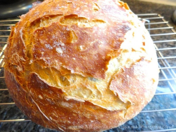 Quick No Knead Bread
 A Quick No Knead Crusty Rye Bread LindySez Recipe