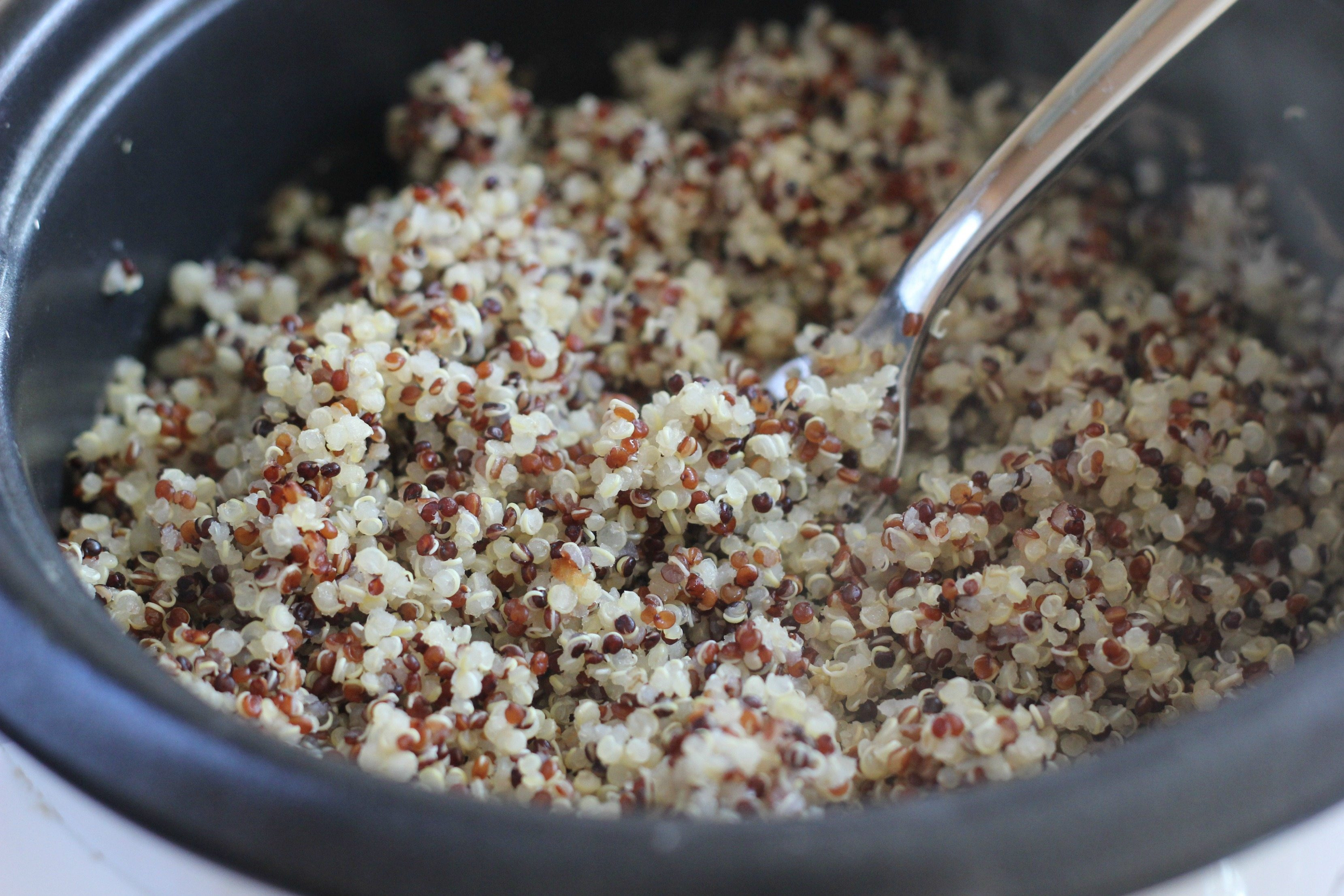 Quinoa In A Rice Cooker
 How to Make Quinoa in a Rice Cooker I Heart Ve ables