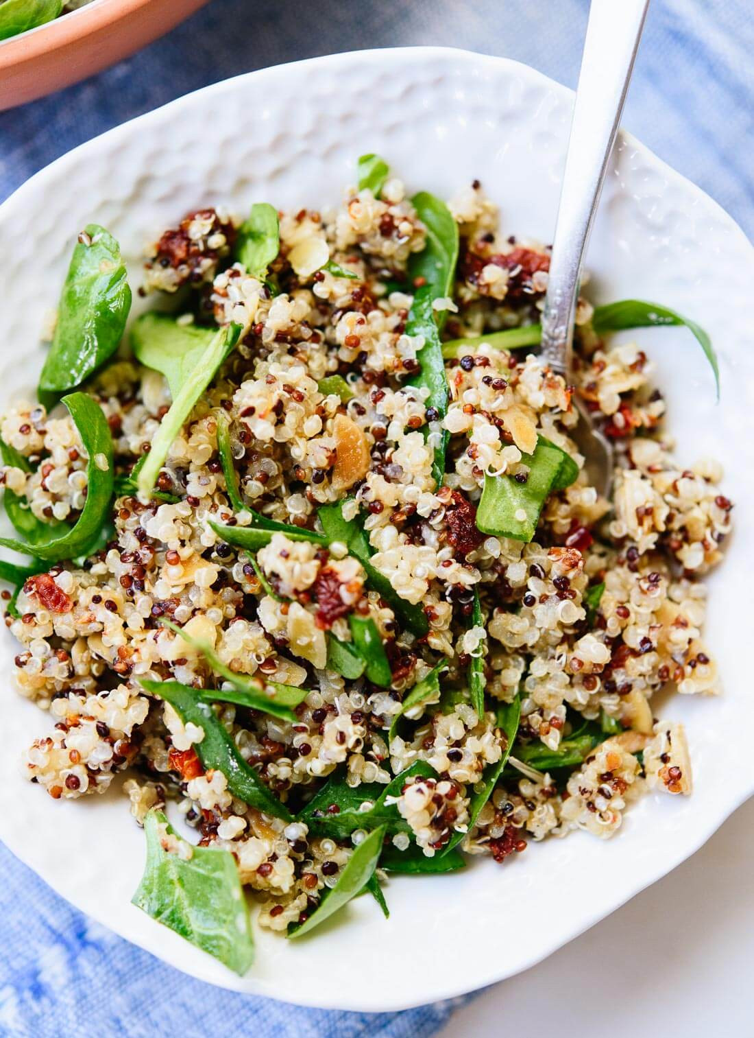 Quinoa Spinach Salad
 Sun Dried Tomato Spinach and Quinoa Salad Cookie and Kate