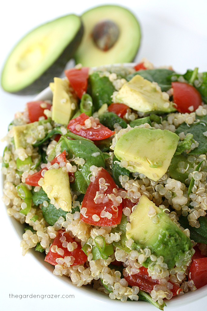 Quinoa Spinach Salad
 The Garden Grazer Quinoa Avocado Spinach Power Salad