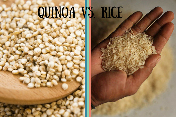 Quinoa Vs White Rice
 Quinoa vs Rice Know If Quinoa is Healthier Than Rice