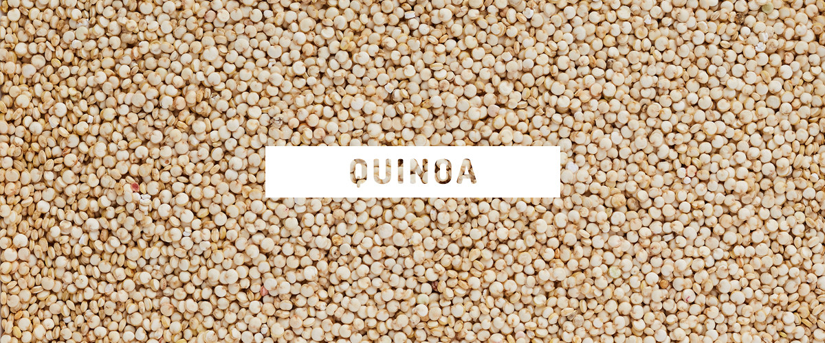 Quinoa Vs White Rice
 Quinoa Vs White Rice Thrive Market