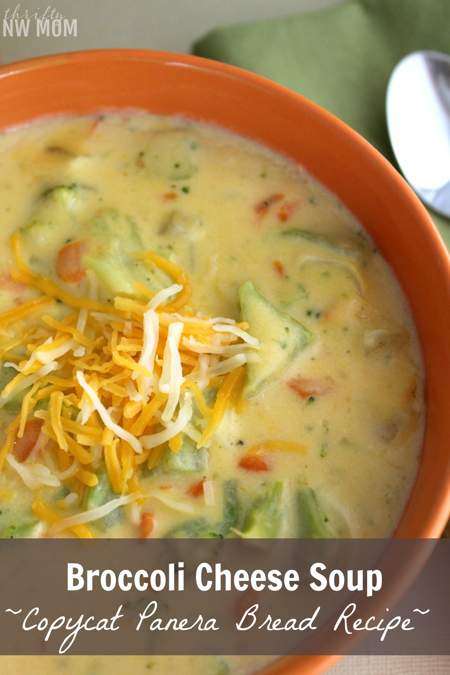 Recipe For Broccoli Cheese Soup
 Broccoli Cheese Soup Recipe Panera Bread Copycat Recipe