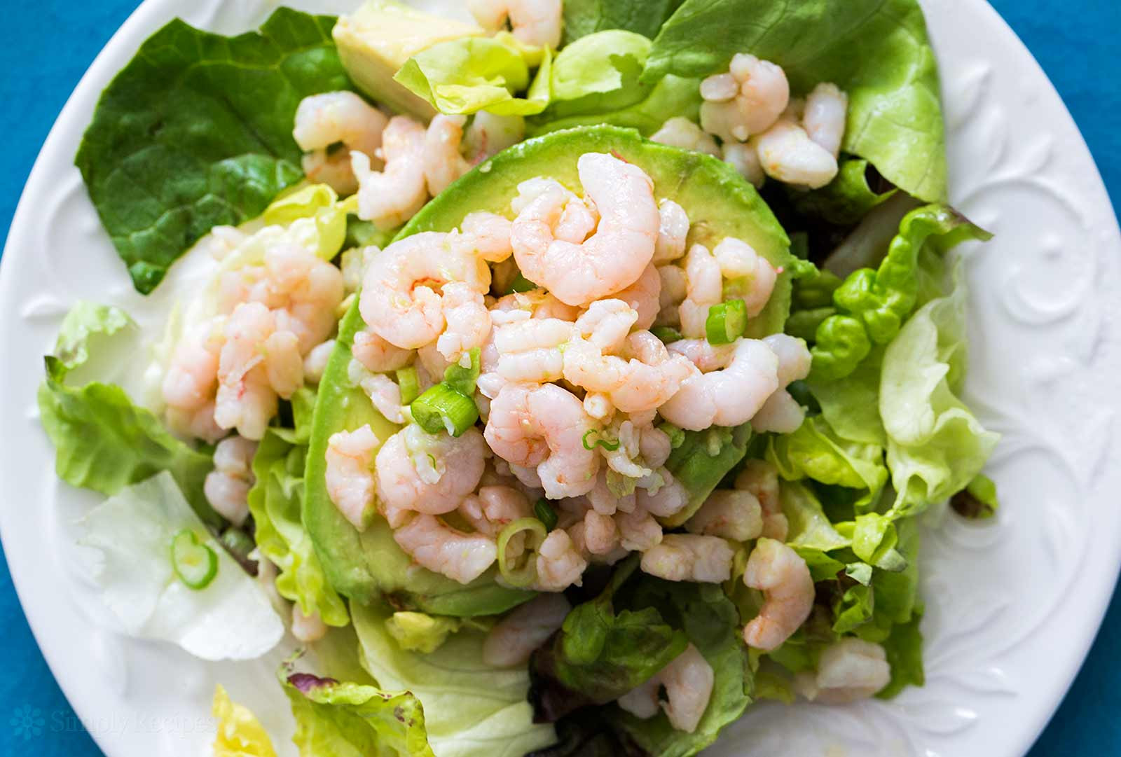 Recipe For Shrimp Salad
 Bay Shrimp and Avocado Salad Recipe
