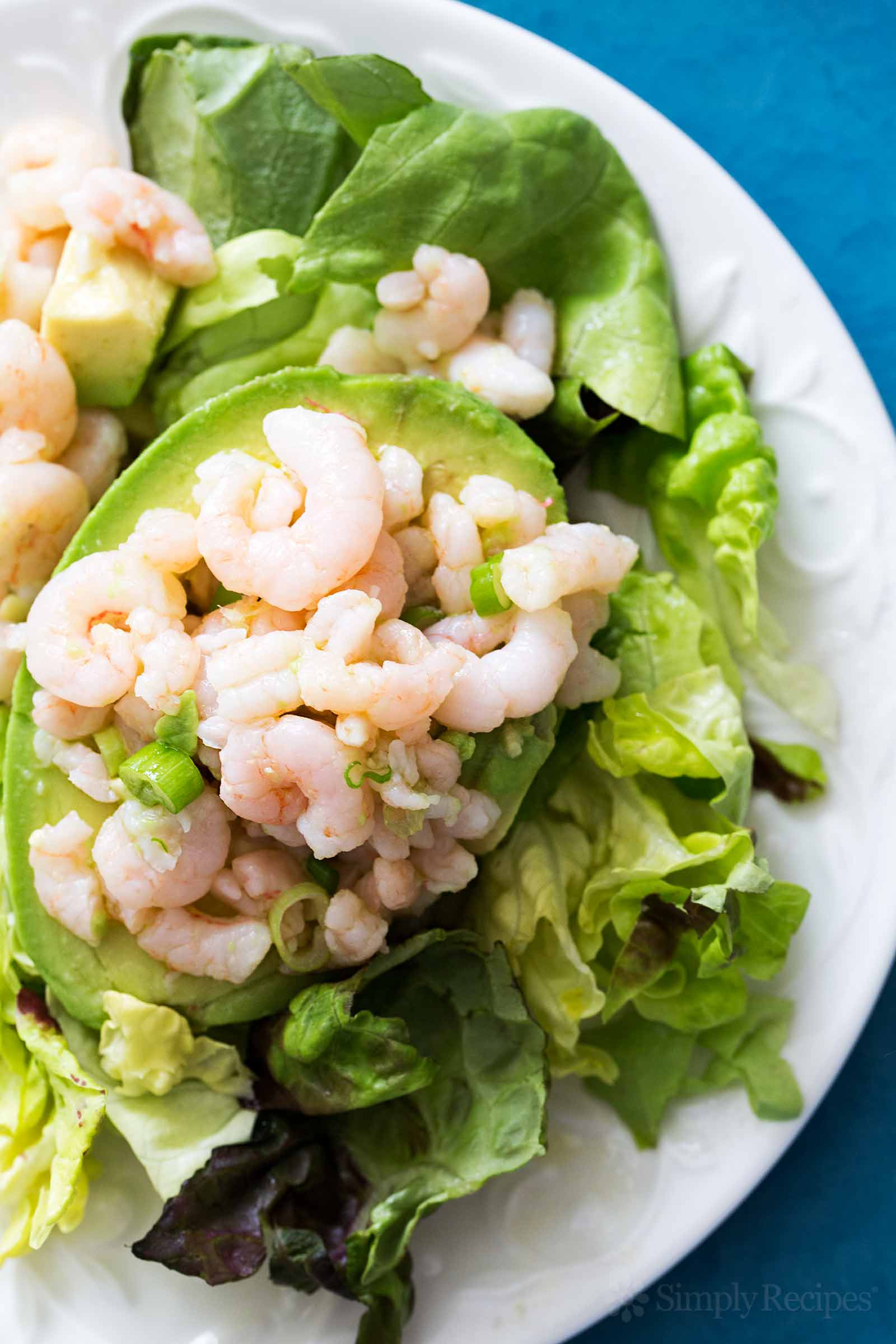 Recipe For Shrimp Salad
 Bay Shrimp and Avocado Salad Recipe