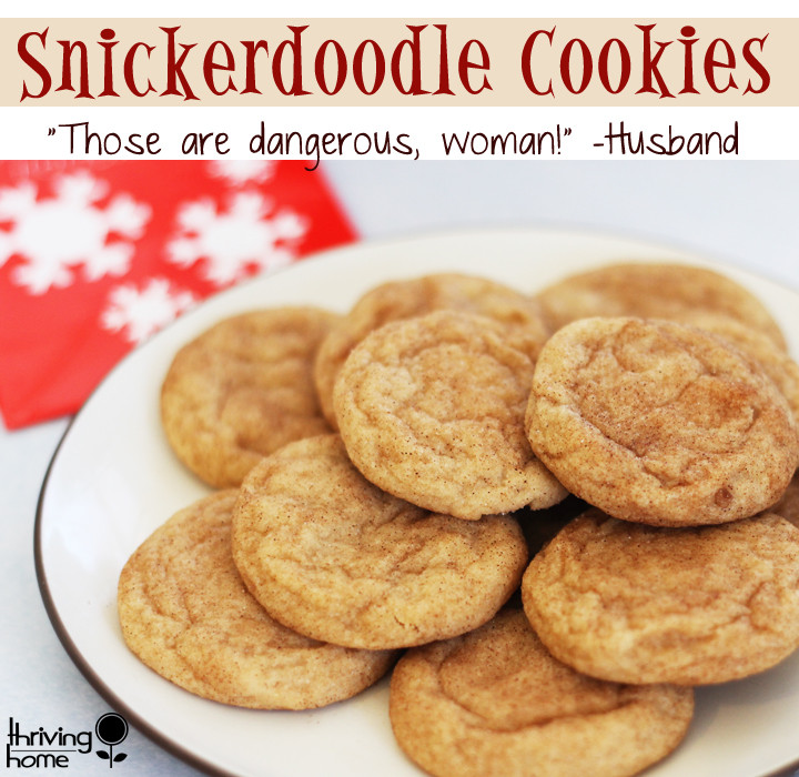 Recipe For Snickerdoodle Cookies
 The BEST Snickerdoodle Cookie Recipe