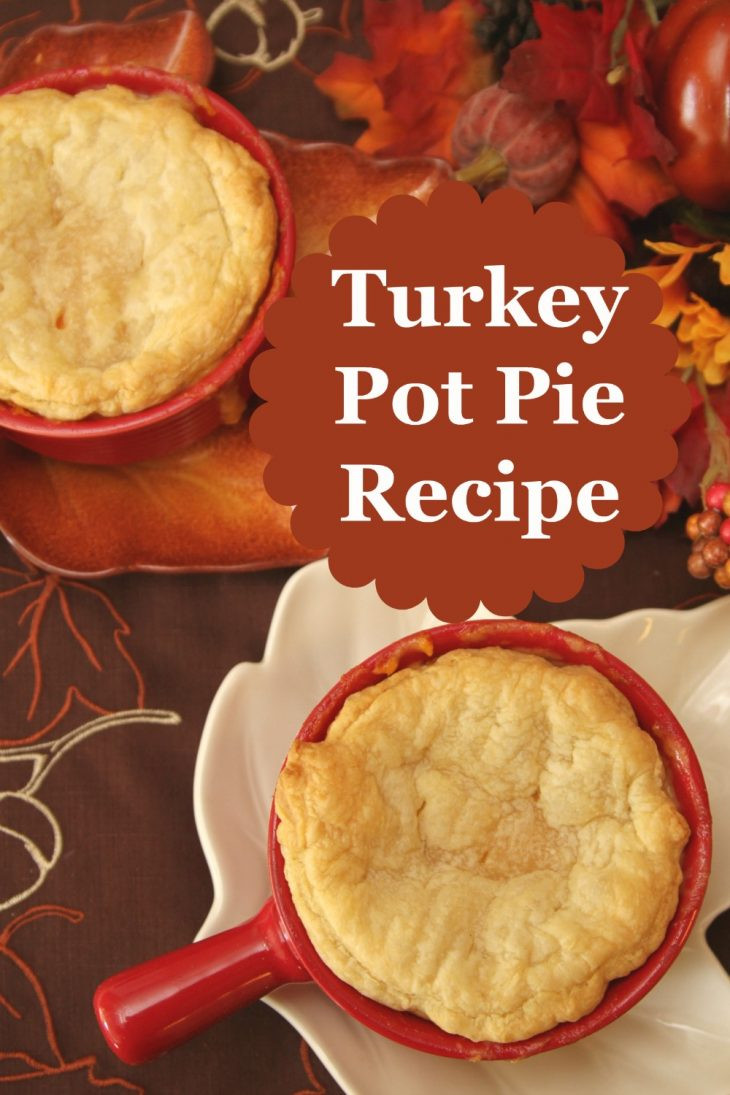 Recipe For Turkey Pot Pie
 Turkey Pot Pies Recipe Just Short of Crazy