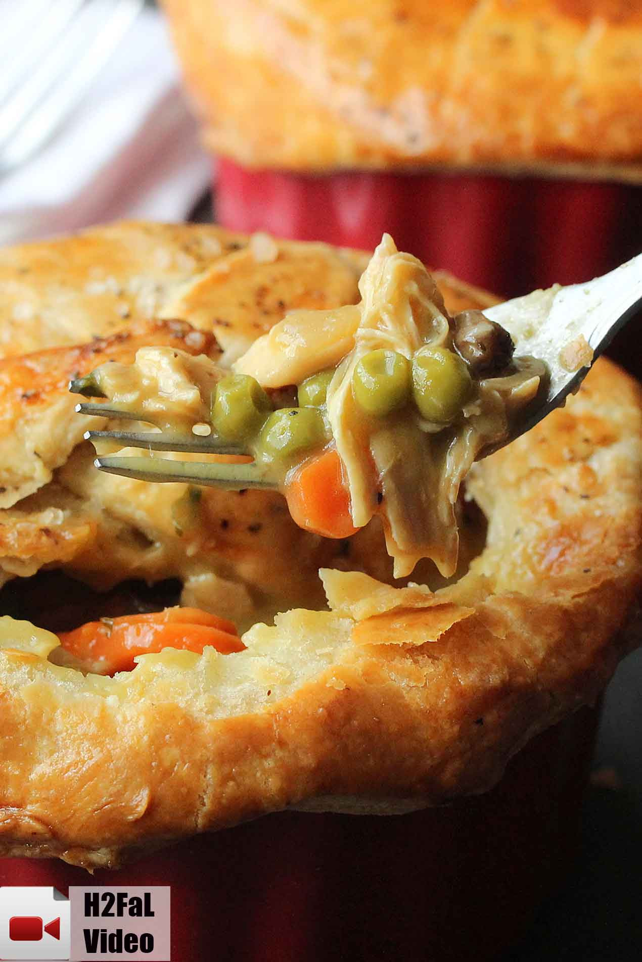 Recipes For Chicken Pot Pie
 Amazing Chicken Pot Pie How To Feed A Loon